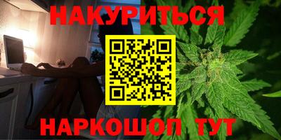 Альфа ПВП Ставрополь