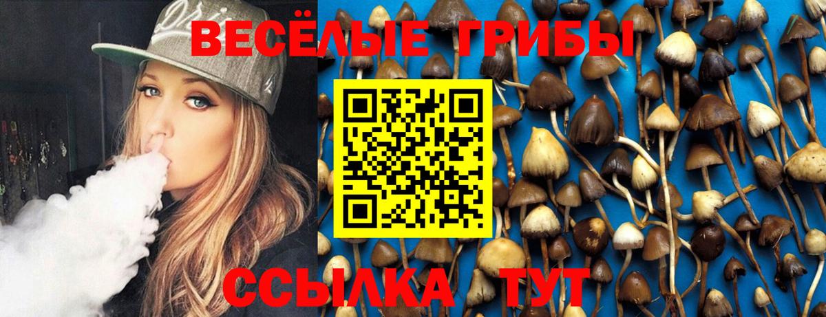 Галлюциногенные грибы прущие грибы Нижнекамск