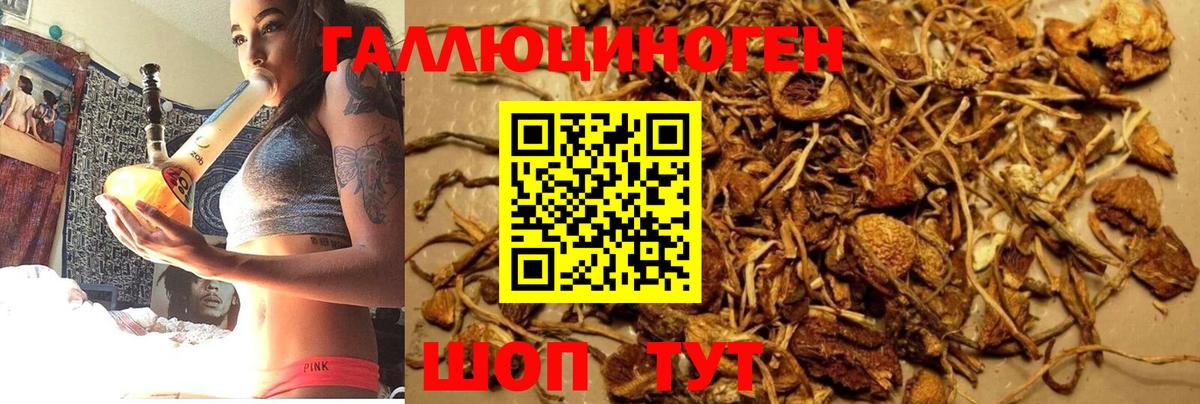 Канабис  Гашиш  Нижнекамск  Меф МЯУ МЯУ   Вход с VPN  КОКАИН 